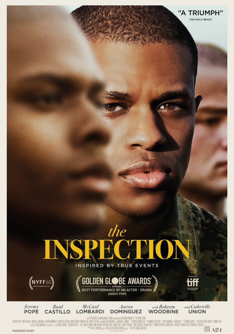 Movie poster of THE INSPECTION distributed by Paradisofilms