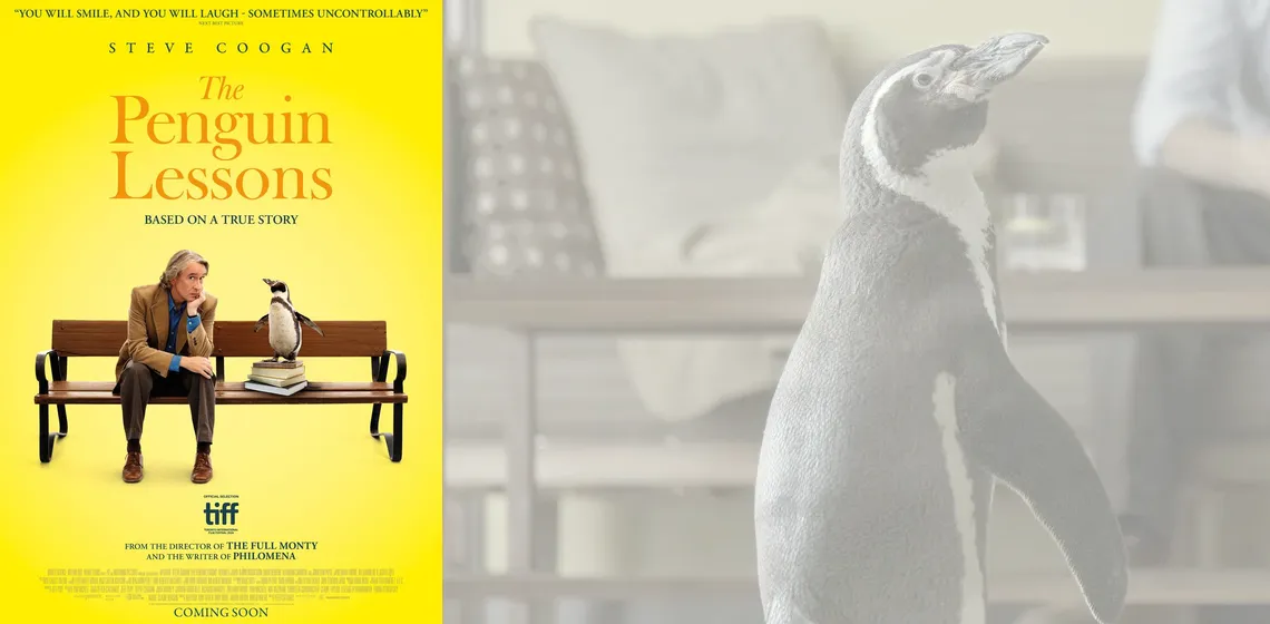 THE PENGUIN LESSONS : Hero image with Poster : Movie distributed by Paradisofilms in the Netherlands