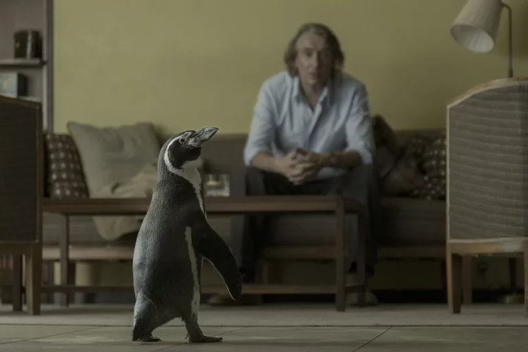 THE PENGUIN LESSONS is a movie distributed by Paradisofilms in The Netherlands, the picture shows scene 2